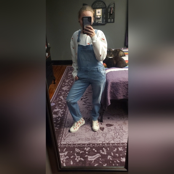 Meet your Posher, Harley - Picture 16 of 16